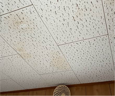 天井にシミが…雨漏りがしているかも